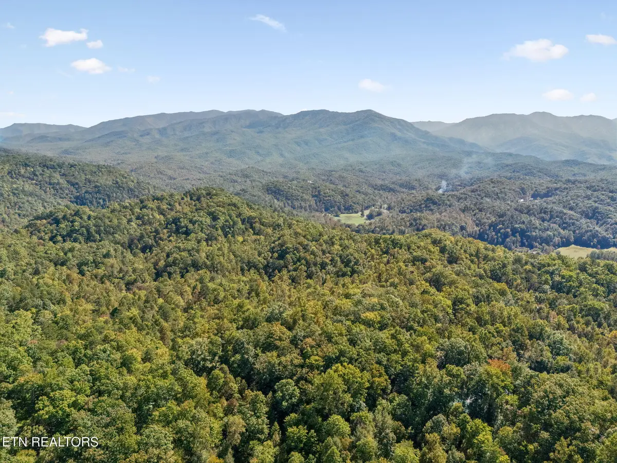 2760 Hawks View Tr, Pigeon Forge, TN 37876 - #1