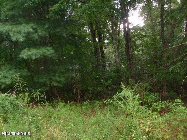 8029 Saratoga Drive, Crossville, TN 38572 - #1