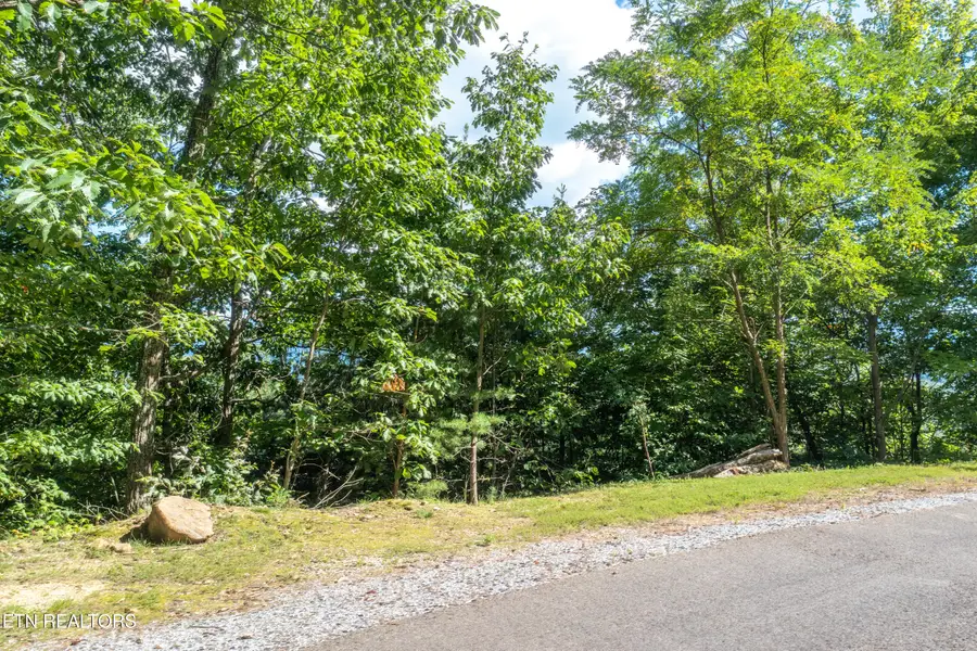 Lot 45 Cumberland Way, Gatlinburg, TN 37738 - #3