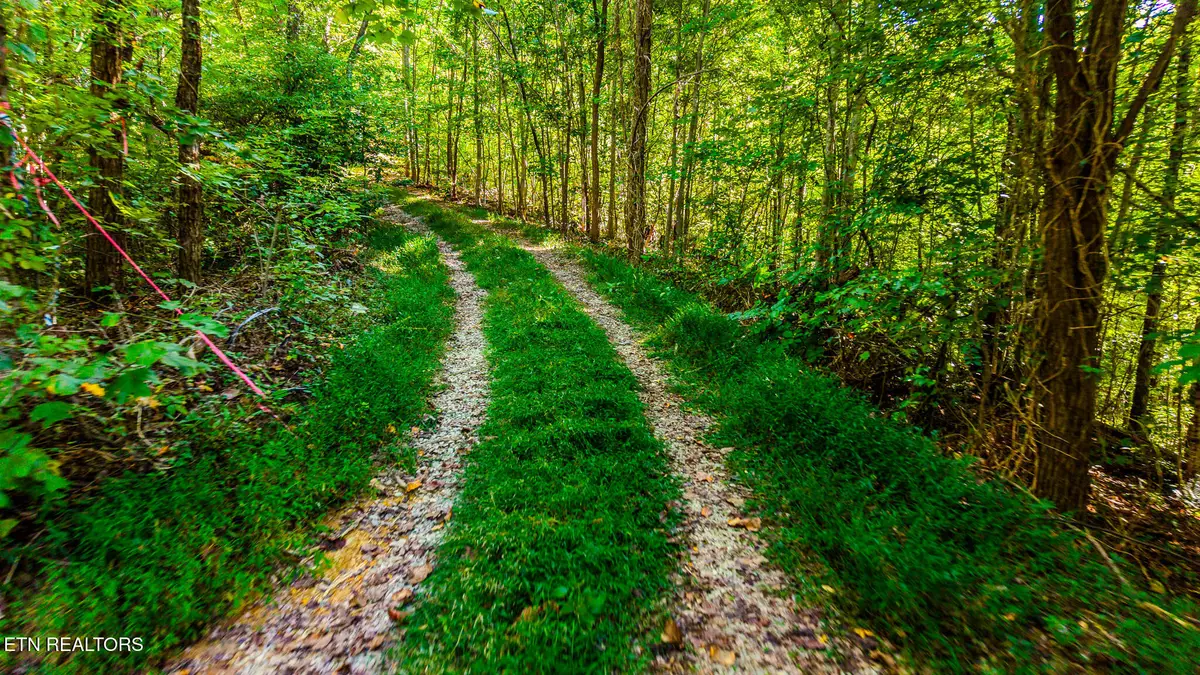429 King Branch Rd, Sevierville, TN 37876 - #1