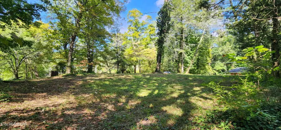 5817 Ridgewood Rd, Knoxville, TN 37918 - #3