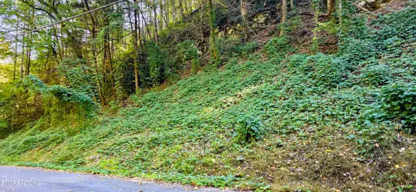 Lot 40 Black Walnut Flats Rd, Sevierville, TN 37862