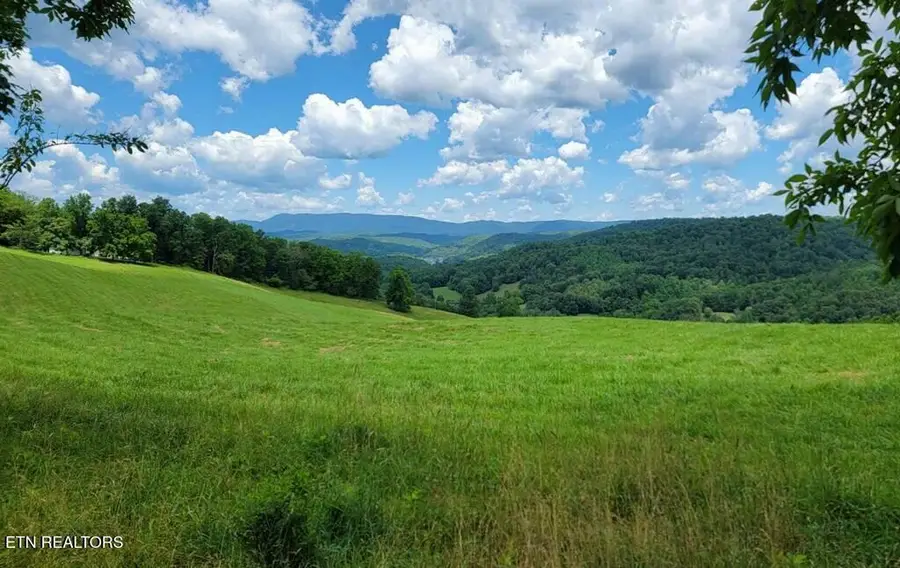 420 Walker Rd, Sharps Chapel, TN 37866 - #2