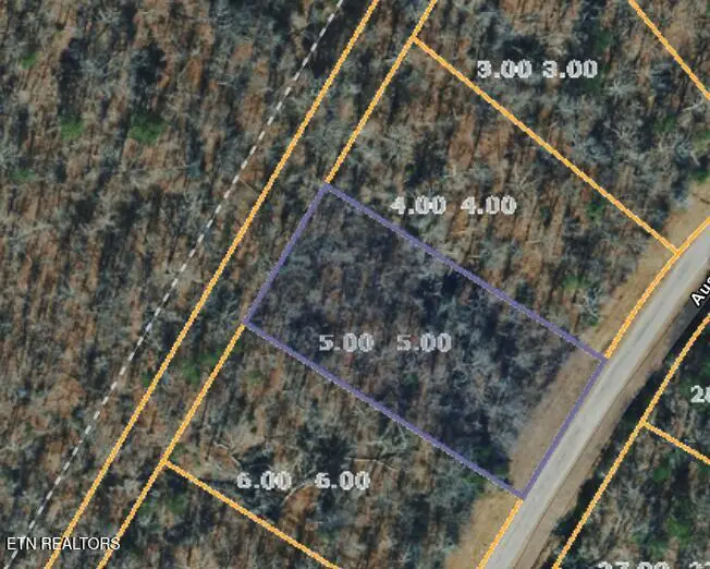 5 Austin Drive, Monterey, TN 38574 - #2