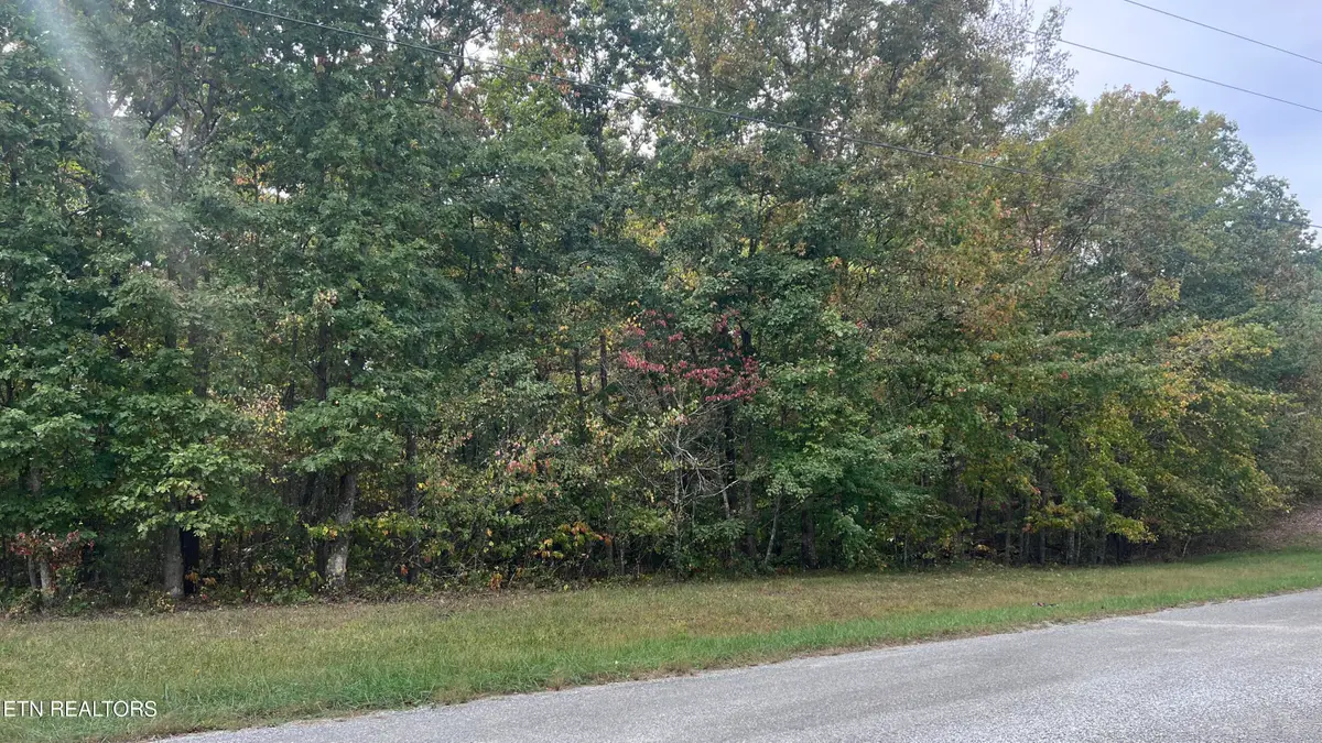 Divide Tr, Monterey, TN 38574 - #1