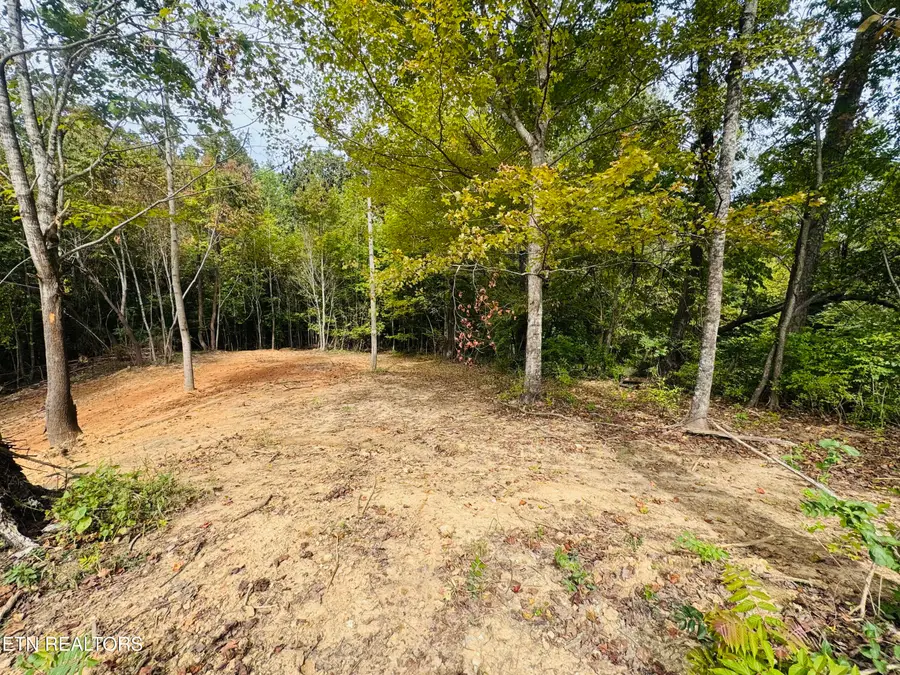 349 Wells Rd, Powell, TN 37849 - #3