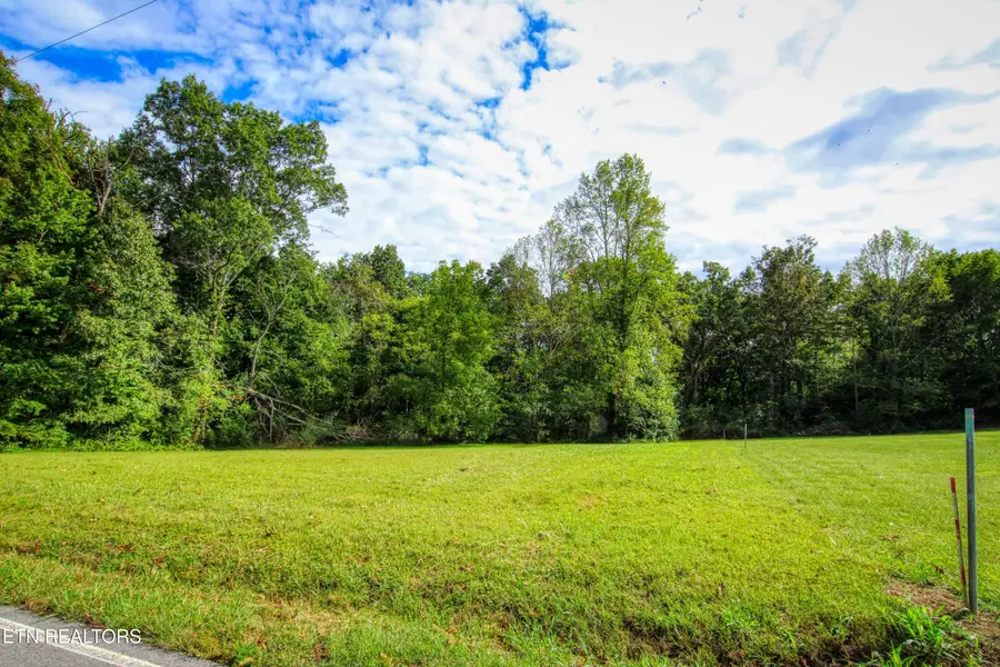 Old Mount Helen Rd, Allardt, TN 38504 - #2