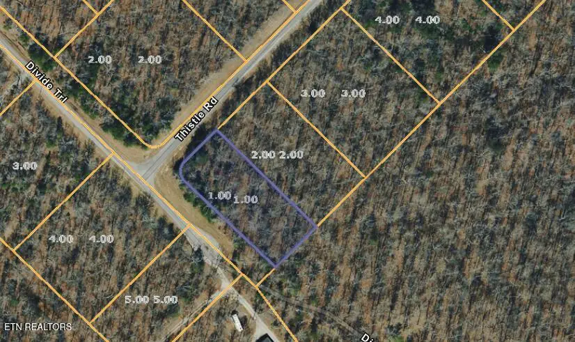 1 Thistle Rd, Monterey, TN 38574 - #1
