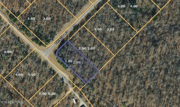1 Thistle Rd, Monterey, TN 38574