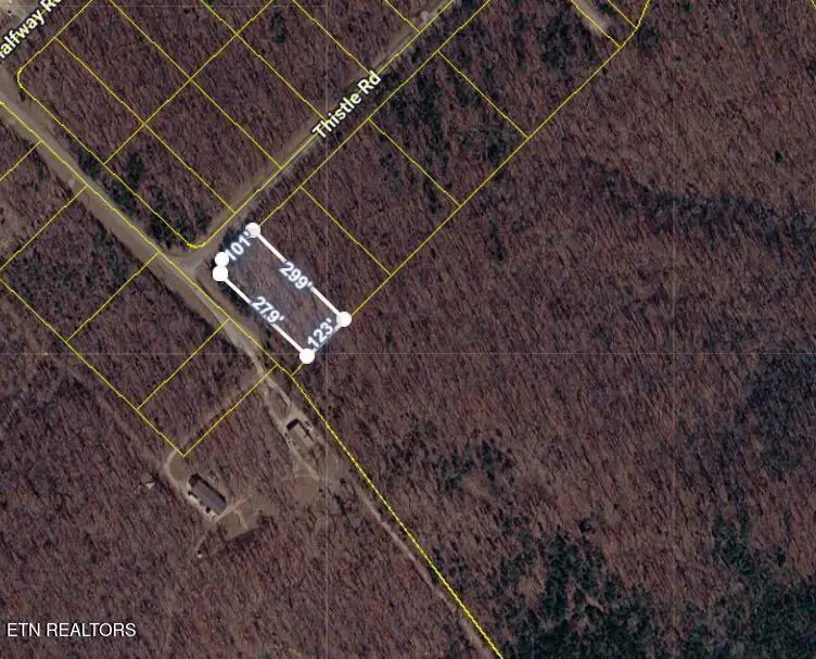 1 Thistle Rd, Monterey, TN 38574 - #2