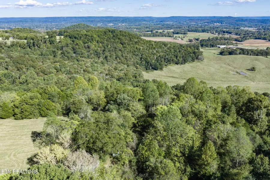 0 Hensley Chapel Lot 5 Rd, Sparta, TN 38583 - #3