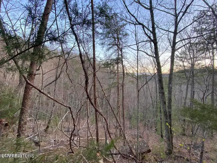 Beechwood St, Sevierville, TN 37876 - #1