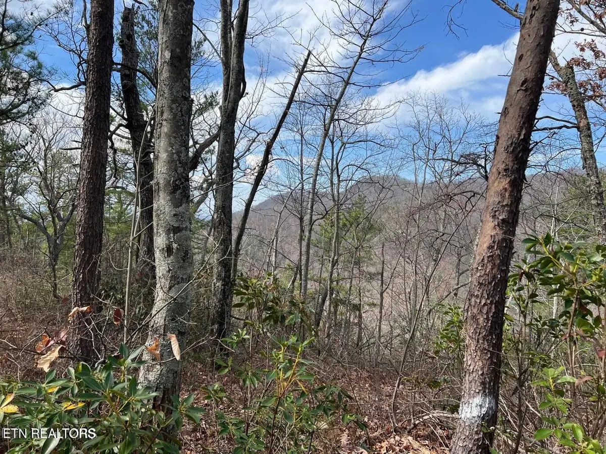 Chestnut Ridge Court, Sevierville, TN 37876 - #1