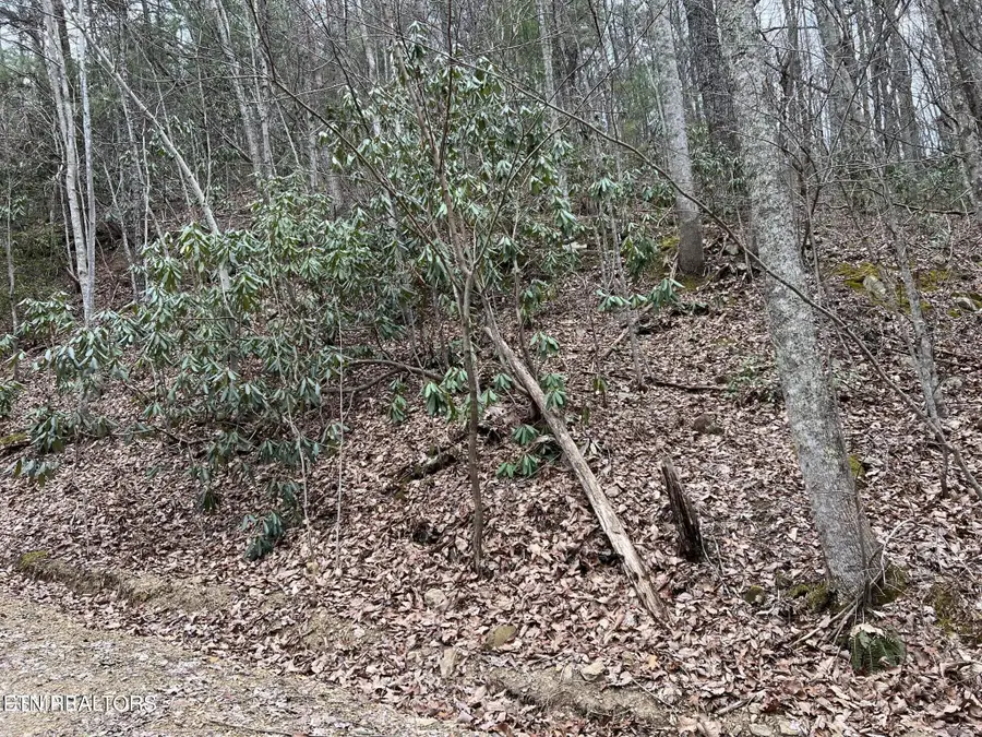 John Sevier Drive, Sevierville, TN 37876 - #2