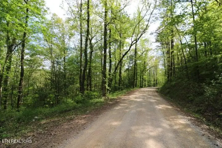 669 Low Gap Rd, Helenwood, TN 37755 - #2