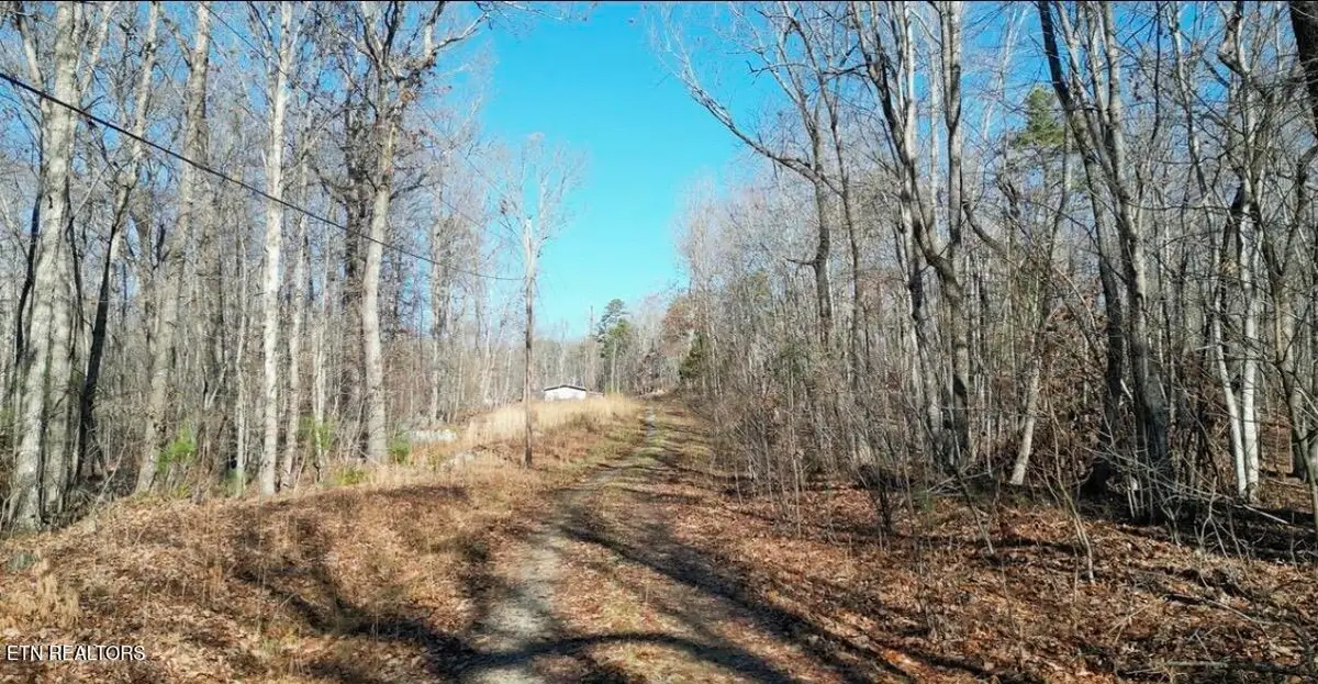 65 Log Rd #1024 Dr, Spring City, TN 37381 - #1