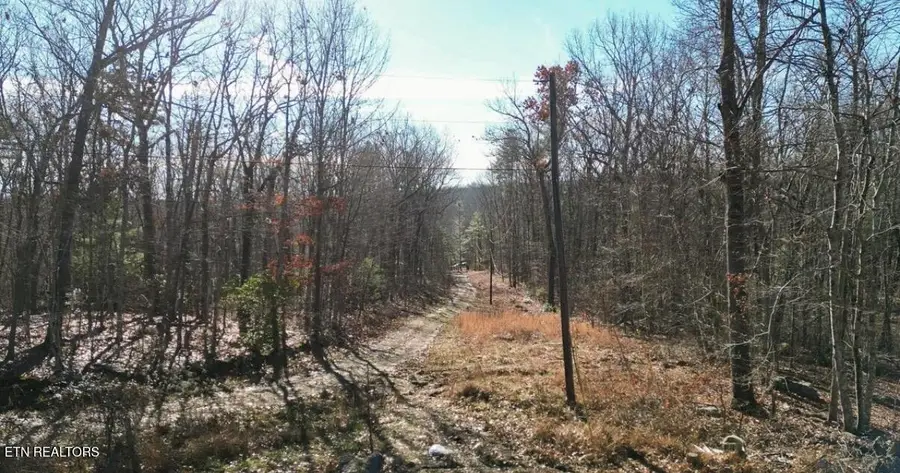 65 Log Rd #1024 Dr, Spring City, TN 37381 - #3