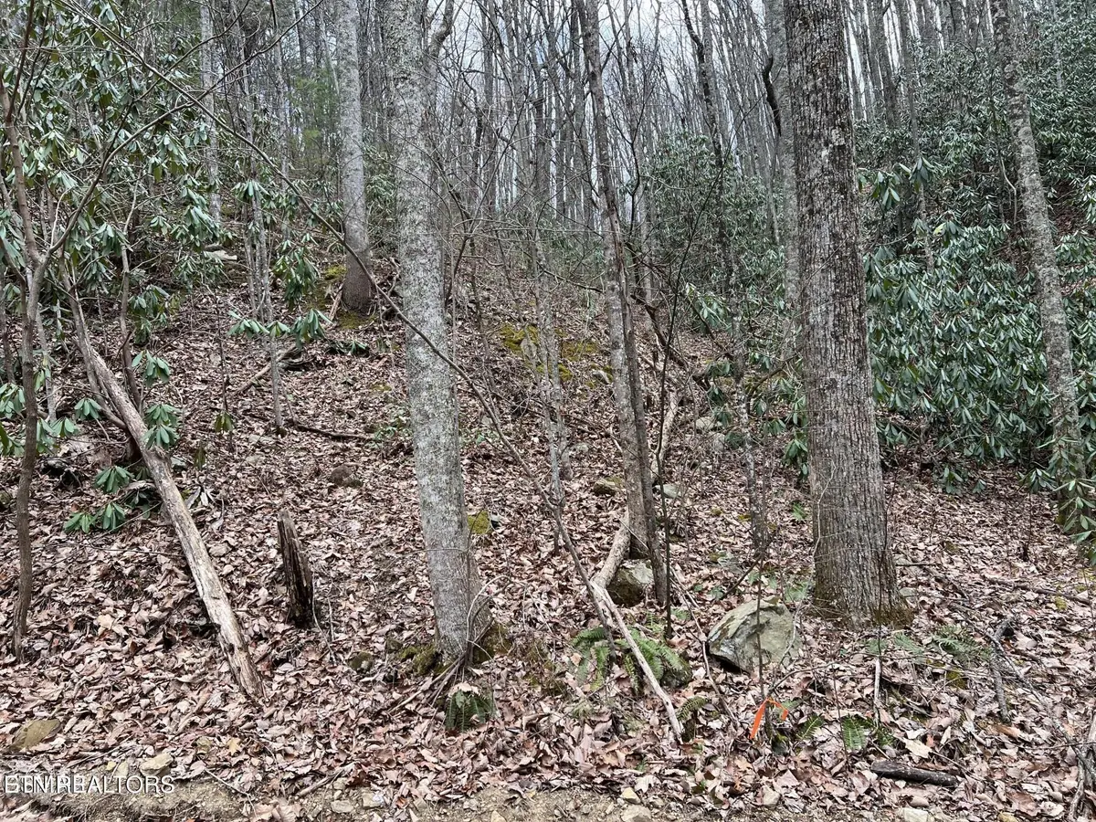 Lot 120 John Sevier Drive, Sevierville, TN 37876 - #1