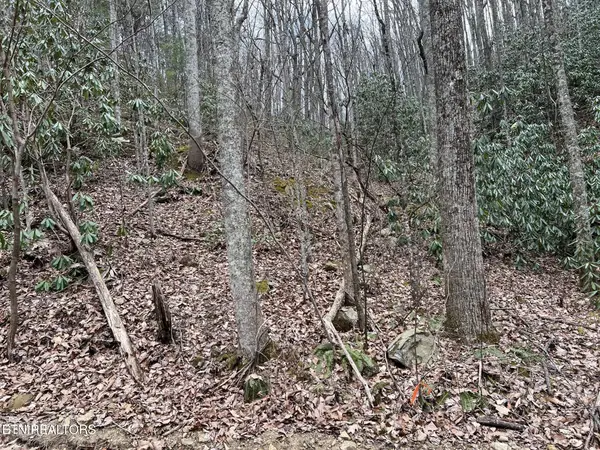 Lot 120 John Sevier Drive, Sevierville, TN 37876