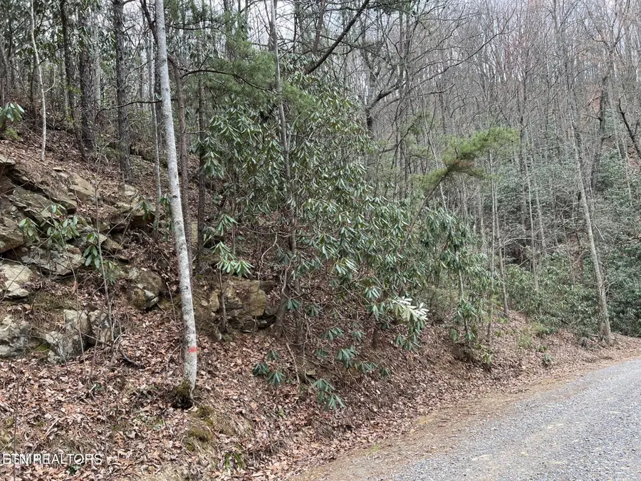 Lot 120 John Sevier Drive, Sevierville, TN 37876 - #3