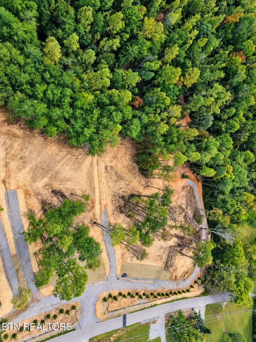 1182 Tarklin Valley Rd, Knoxville, TN 37924 - #3