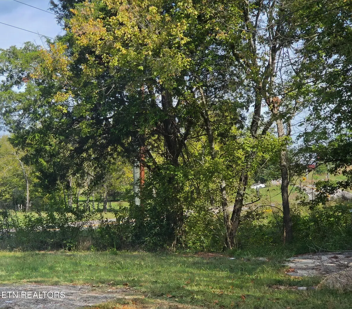 2285 Douglas Dam Rd, Pigeon Forge, TN 37876 - #1