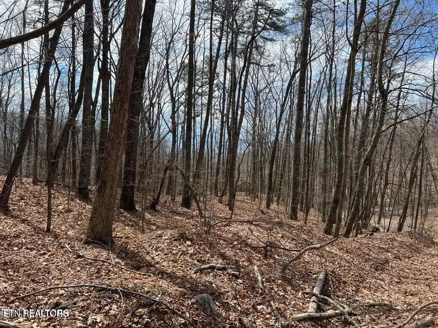 Swann Saddle, Sevierville, TN 37876 - #1