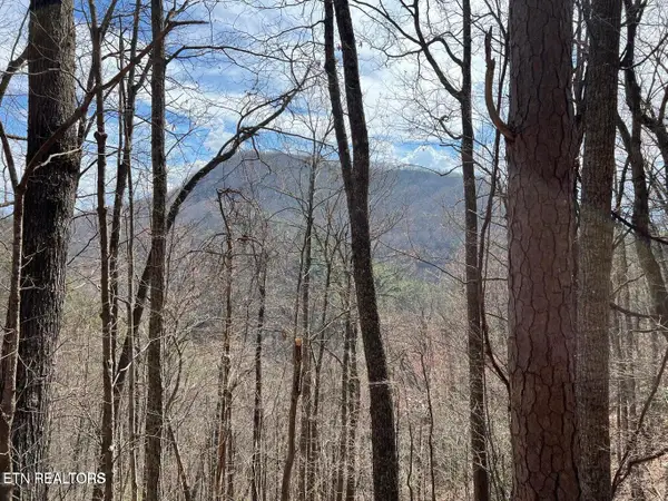 Aintree Drive #26, Sevierville, TN 37876