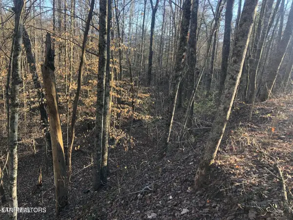 Yellowwood Drive, Sevierville, TN 37876