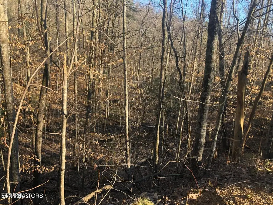 Yellowwood Drive, Sevierville, TN 37876 - #3