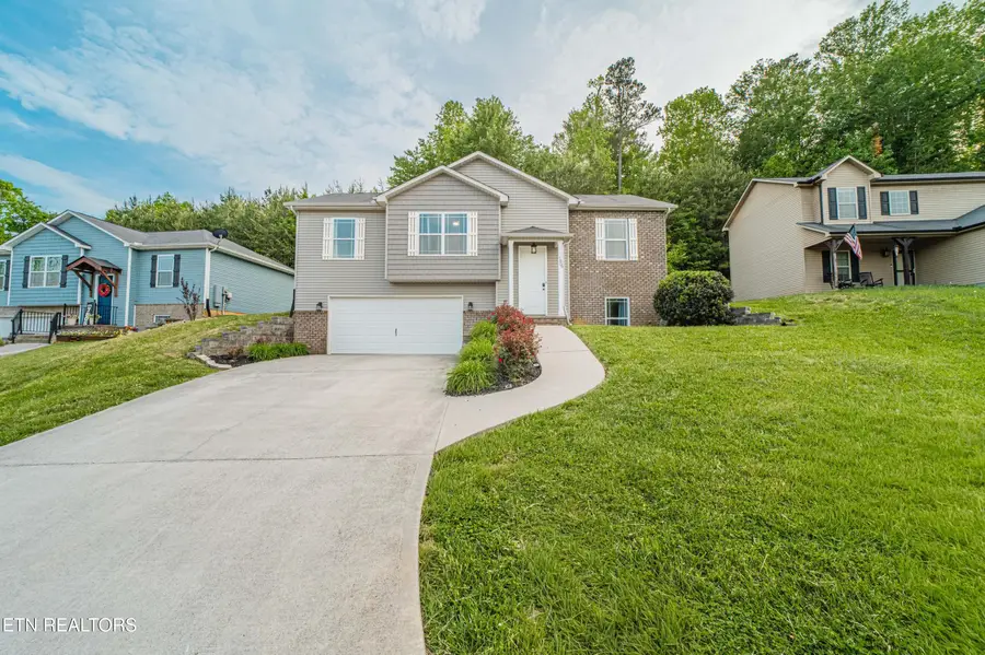 7809 Elkton Lane, Powell, TN 37849 - #3