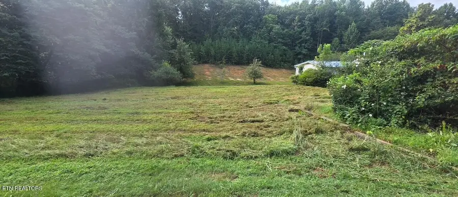 106 Black Hollow Rd, Rockwood, TN 37854 - #2