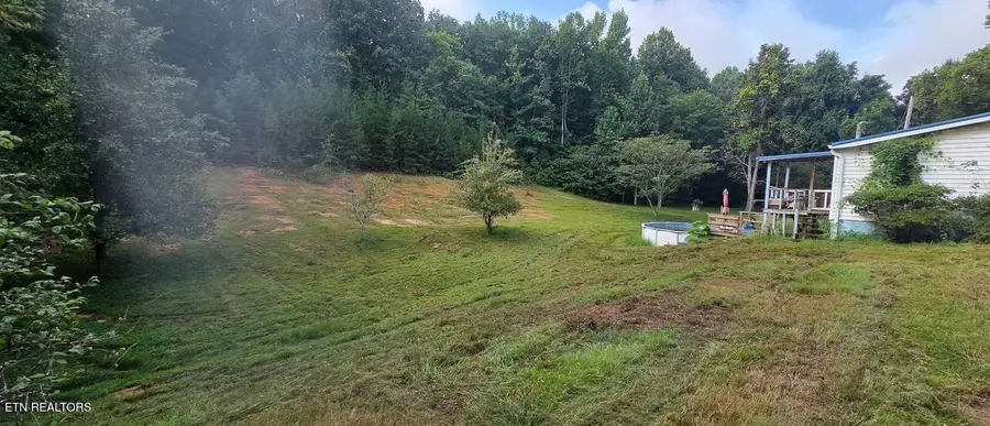 106 Black Hollow Rd, Rockwood, TN 37854 - #3