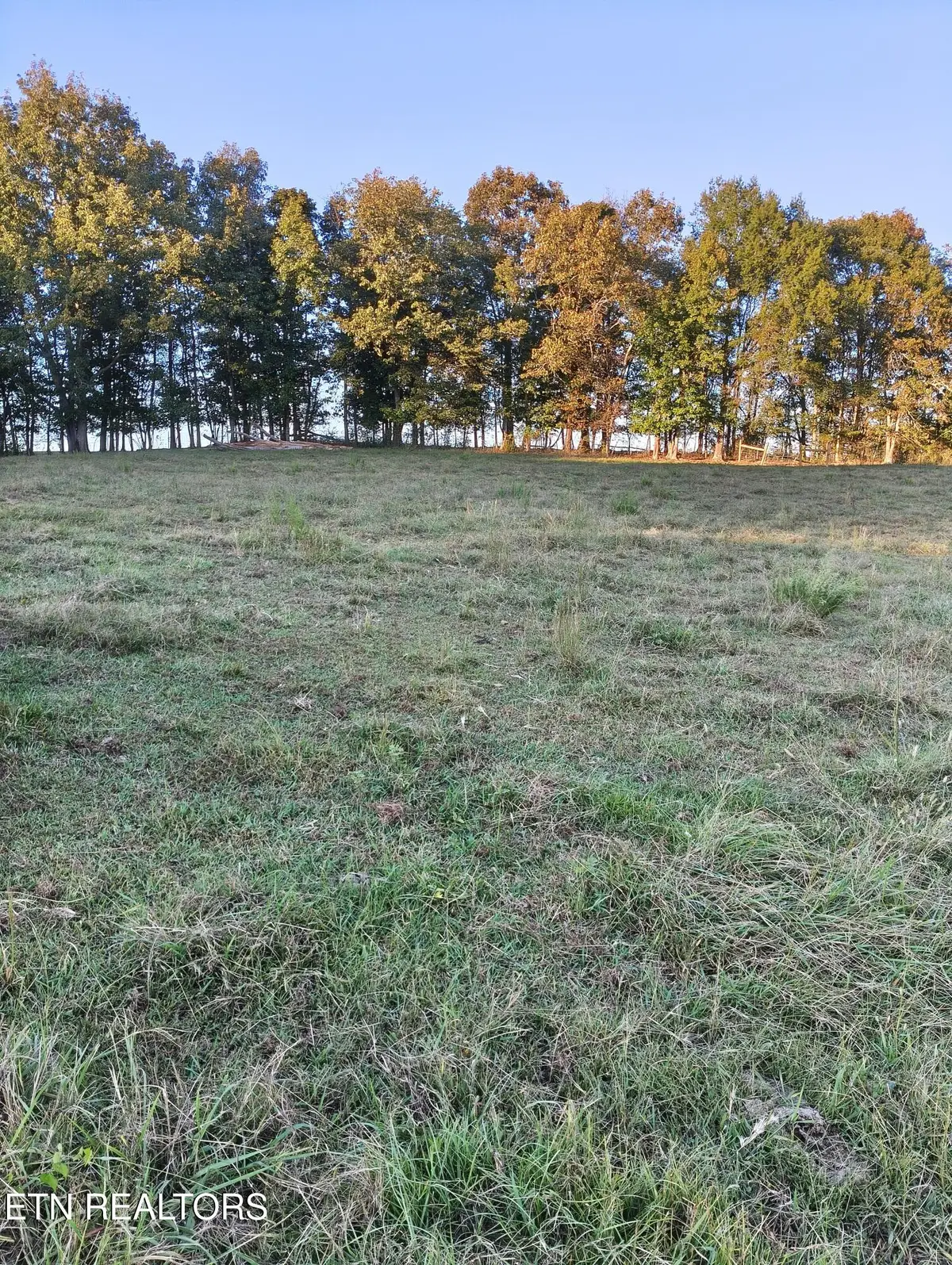 2764 Oakland Rd, Philadelphia, TN 37846 - #1