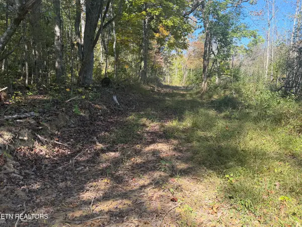 26.97 Acre Mt Helen Rd, Allardt, TN 38504