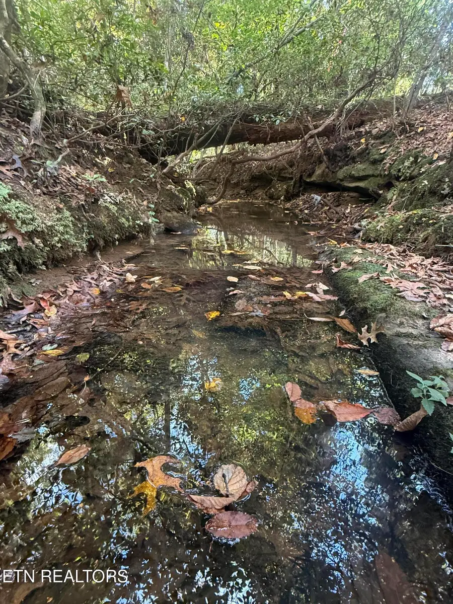 26.97 Acre Mt Helen Rd, Allardt, TN 38504 - #2