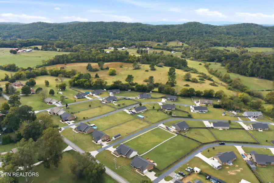 503 Teacher Way, Seymour, TN 37865 - #3