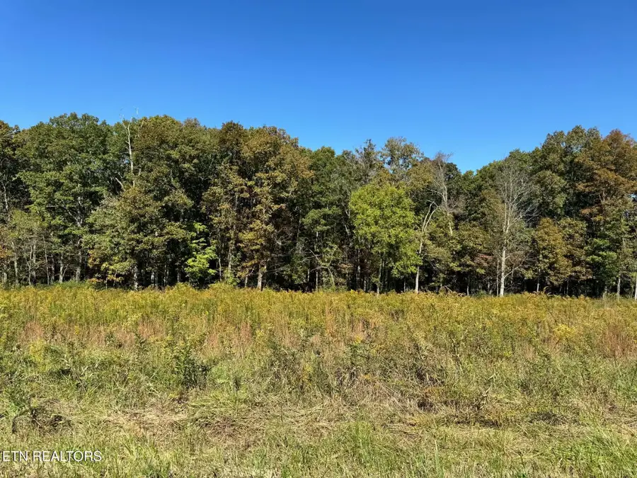 Golliher Rd, Rockwood, TN 37854 - #2