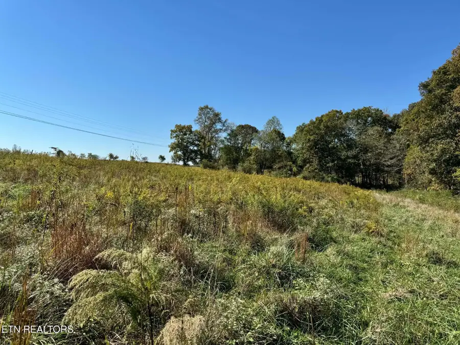 Golliher Rd, Rockwood, TN 37854 - #3