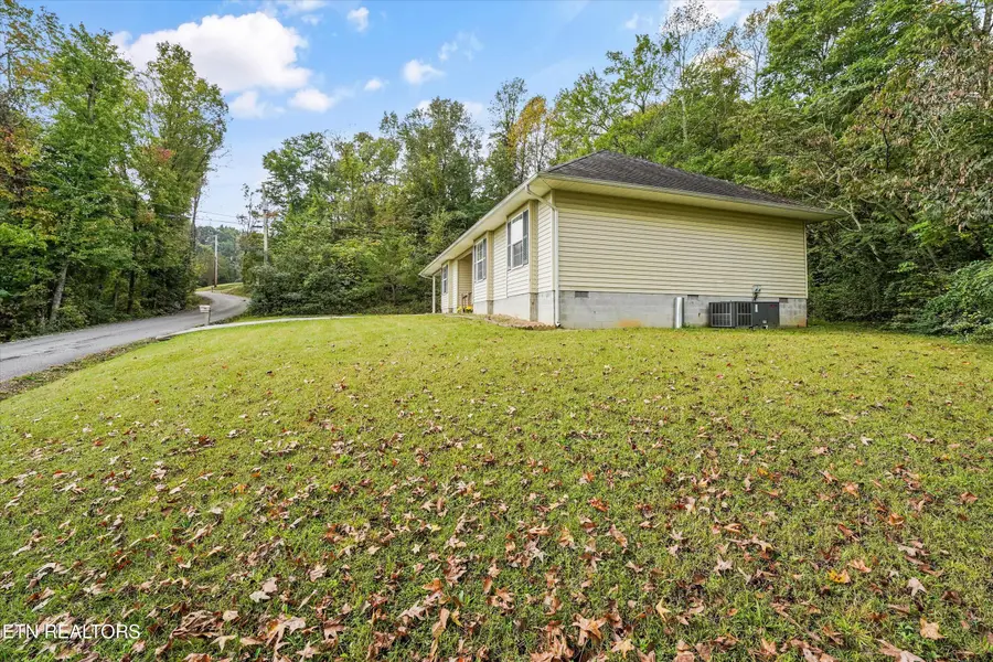 222 Disney Lane, Caryville, TN 37714 - #3