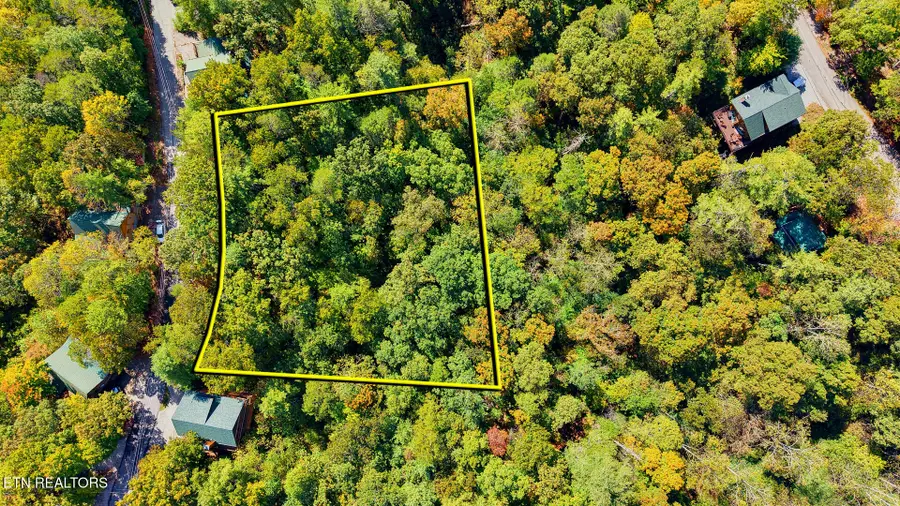 Tolliver Tr, Townsend, TN 37882 - #2