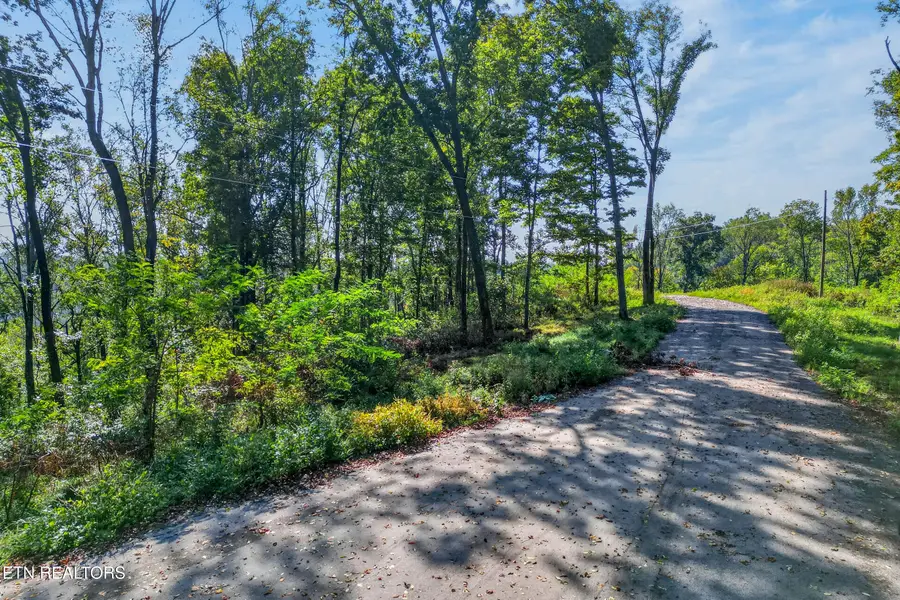 Lot 10 Back Ranch Drive, Silver Point, TN 38582 - #3