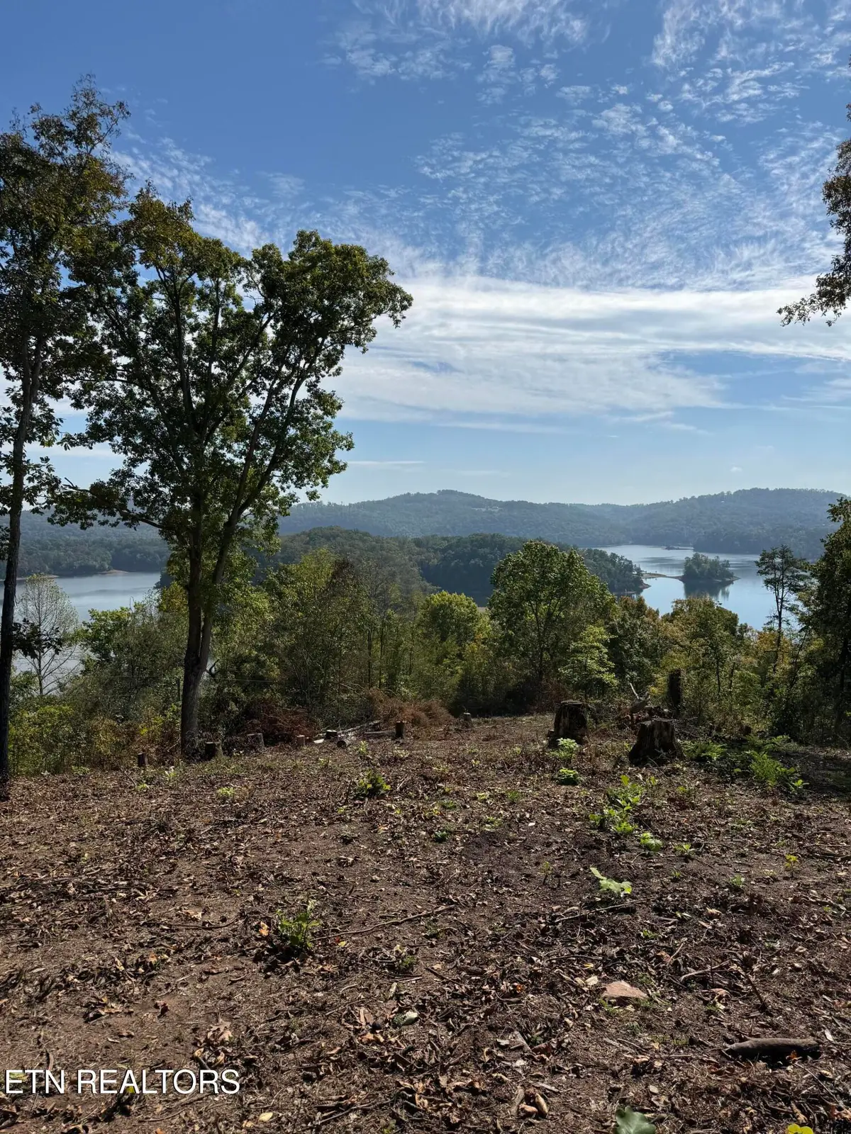 Lot 264 Lakeview Drive, Sharps Chapel, TN 37866 - #1
