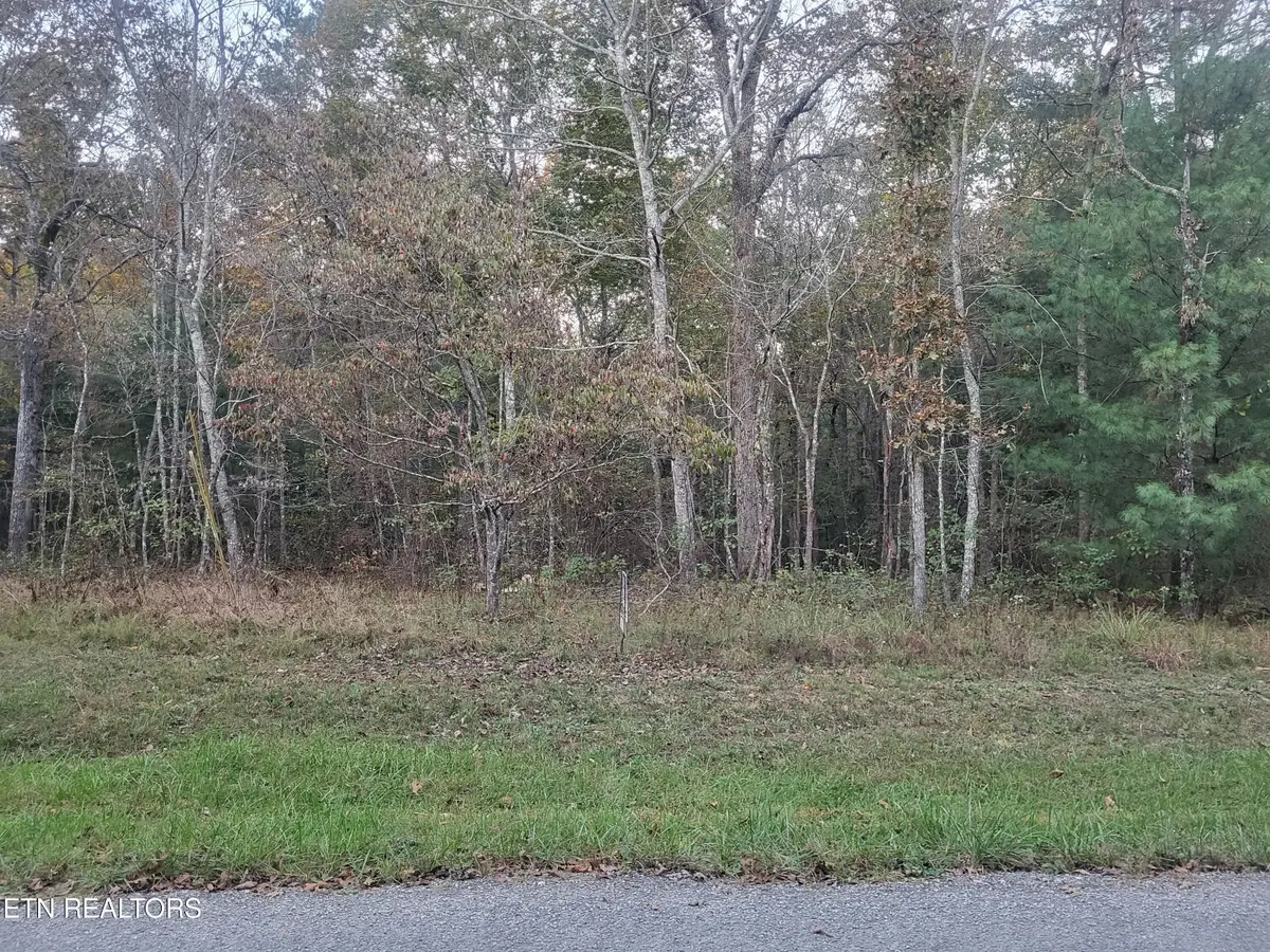 127 Newcastle Lane, Crossville, TN 38558 - #1