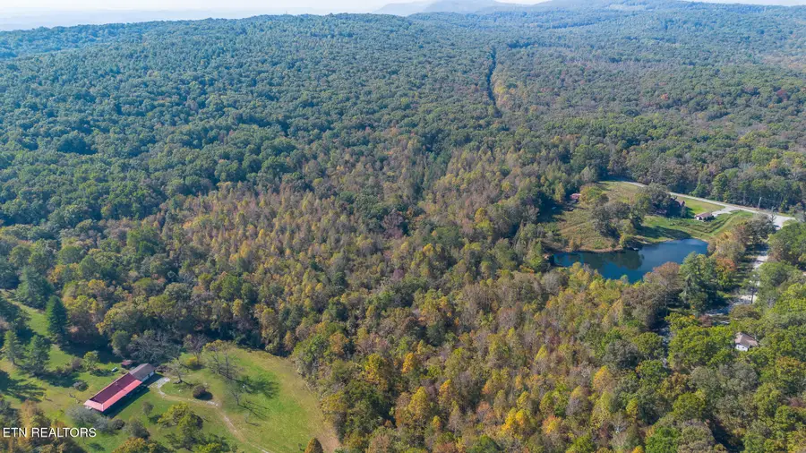 Dry Hill Rd, Rockwood, TN 37854 - #3