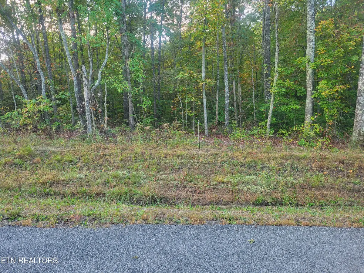 221 Malvern Rd, Crossville, TN 38558 - #1
