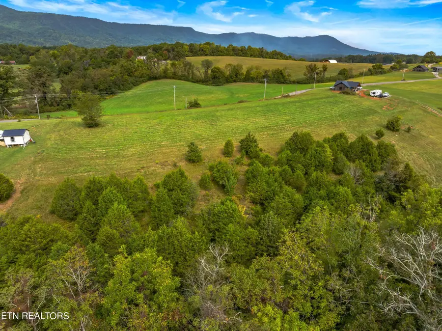 Lot 3 Bogard Rd, Newport, TN 37821 - #2