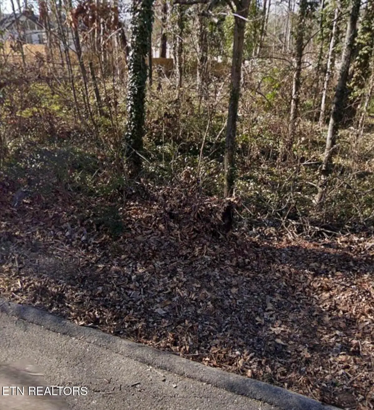 301 Wilona Lane, Knoxville, TN 37922 - #1