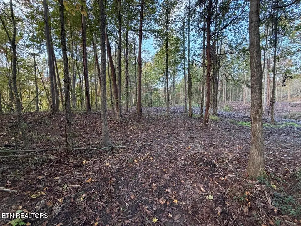 0 Sled Creek Rd, Duff, TN 37729 - #1