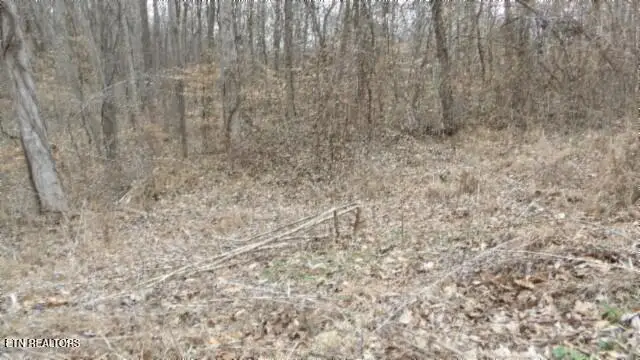 5.51ac Beaver Lane, Gainesboro, TN 38562 - #1
